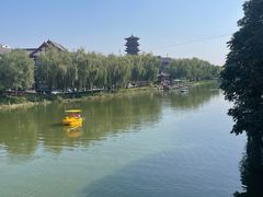 -老槐树煎包