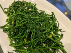 野菜-美极鲜食坊(宝安南路店)