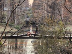 -黄海国家森林公园