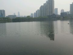 -西北湖绿化广场
