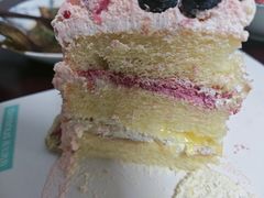 -维尔纳斯·生日蛋糕·动物奶油冰淇淋蛋糕(六里桥店)