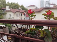 -老洋房花园饭店(绍兴路店)