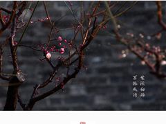 -北京明城墙遗址公园