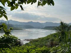 -金海湾滨江公园