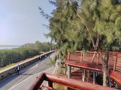 -宝安西湾红树林湿地公园