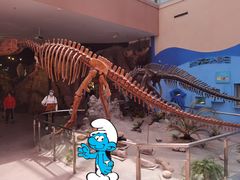 -陕西自然博物馆