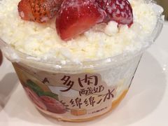 多肉酸奶绵绵冰-一只酸奶牛(东方广场店)