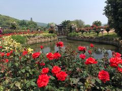 -龙寺生态园
