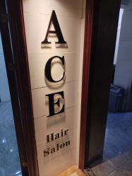 -ACE造型