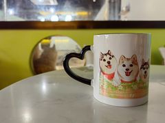 -Husky Go! 哈士奇体验馆·宠物咖啡厅狗咖