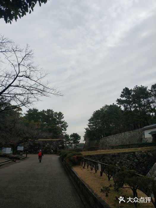 名古屋城图片
