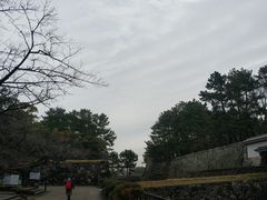 -名古屋城