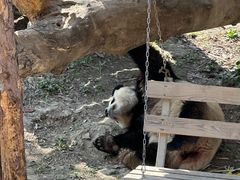 -宁波野生动物园