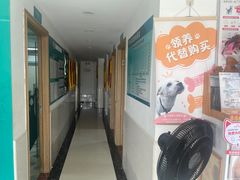 -乐琪宠物医院·犬猫专科·骨外科·急重症