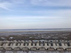 -南汇嘴观海公园