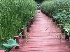 -苏州东太湖生态园