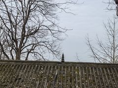 -九华山风景区月身宝殿