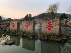 -香雪海