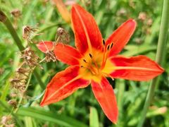 -天津东丽湖风景区