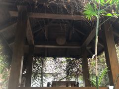 -龙达温泉生态城