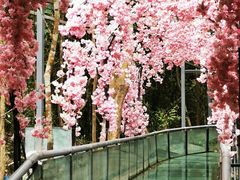 -七仙岭温泉国家森林公园