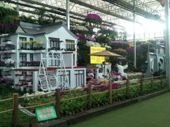 -兰陵国家农业公园