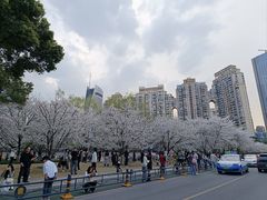 -西北湖绿化广场