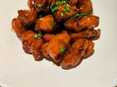 -觀芷隐轩