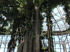 -瑞阁温泉酒店温泉中心