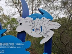 -广东惠东海龟国家级自然保护区