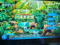 -海合安成都极地海洋公园