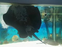 -绍兴梦享海洋公园