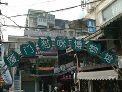-猫咪博物馆(顶澳仔猫街店)