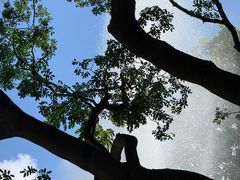 -九龙公园