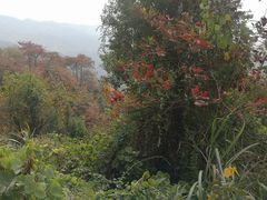 -梅岭月亮湾山体公园