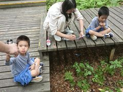 -五营红松林海景区