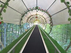 -藏龙百瀑风景区