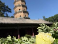 -晋祠博物馆