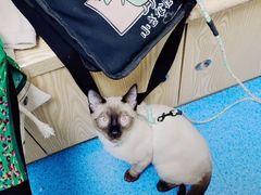 -大鸭梨烤鸭·北京菜(南小街/南苑店)