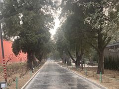 -北京市劳动人民文化宫(太庙)