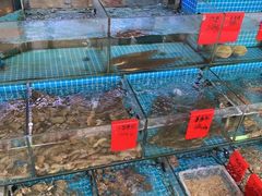 -洲晓鲜·舟山海鲜大排档(朱家尖风景区店)