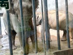 -辛玛王国游乐园