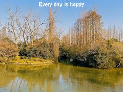 -上海滨江森林公园