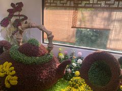 -杭州植物园