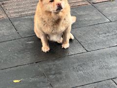 -嘉华小吃(蛇口市场店)
