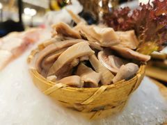 -洪氏嗨捞·猪肚鸡火锅(阳光天地店)