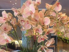 -八府香鸭·啫啫煲(华山路店)