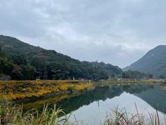 -广州市石门国家森林公园