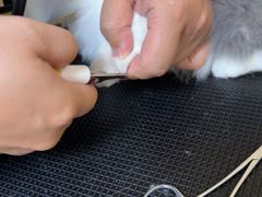 -佳雯宠物医院·皮肤科·内外科(春晓路分院)