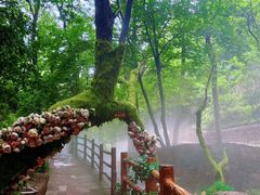 -云丘山景区
